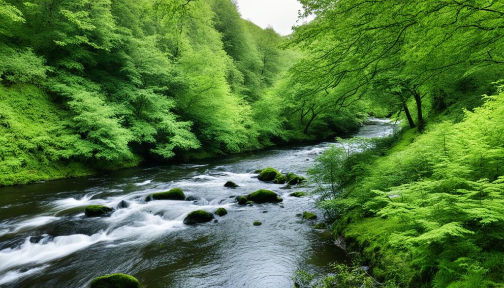 Lagan Valley Regional Park